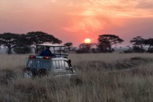 Danmark sender markant flere turister til Tanzania end nabolandene